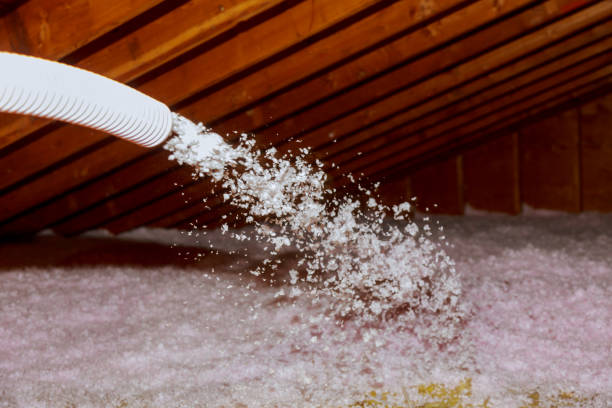 Best Professional Insulation Contractor  in Quantico Base, VA